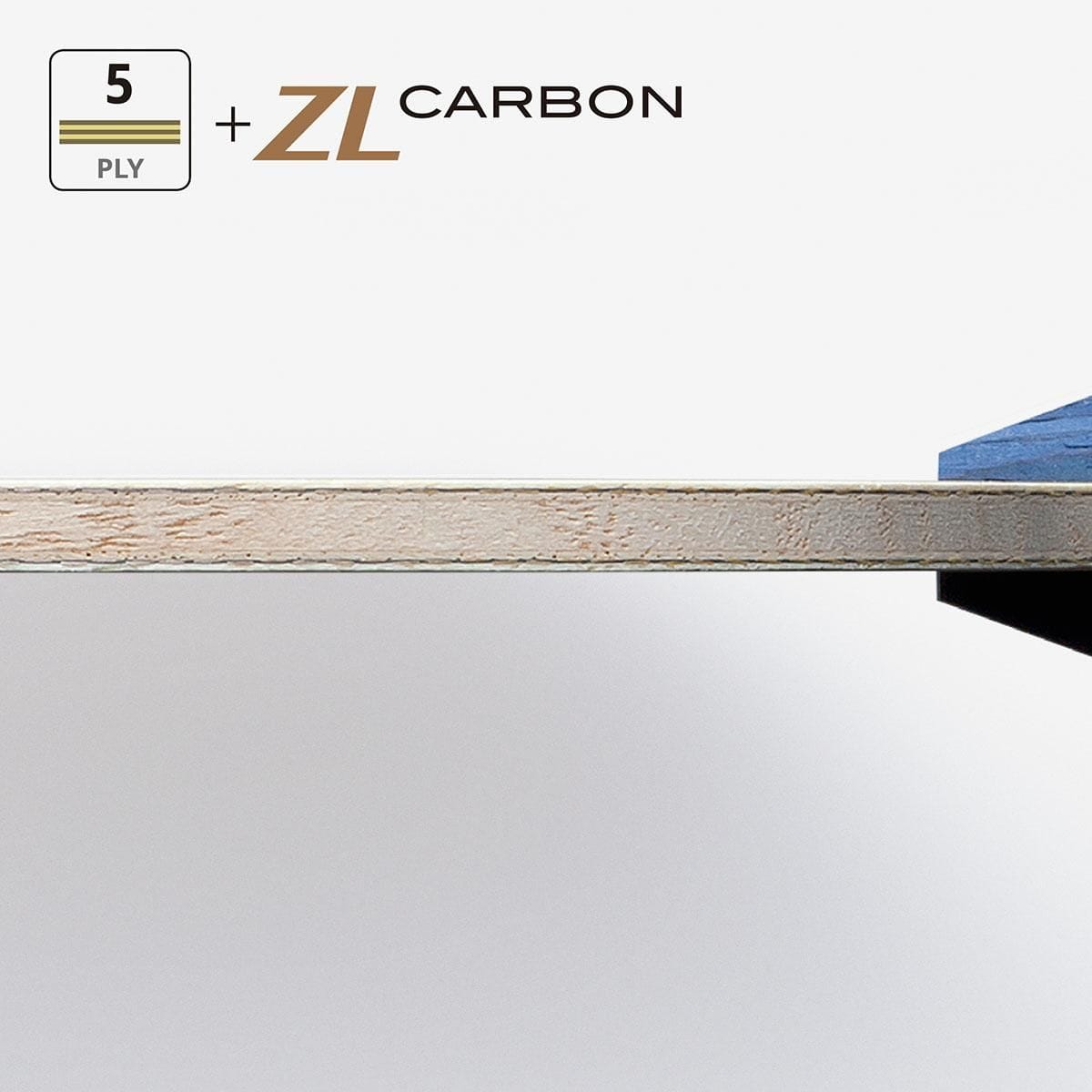 蝴蝶 TIMO BOLL ZLC